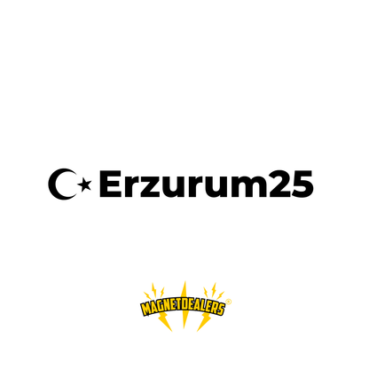 ERZURUM25 / Car Stickers - Magnetdealers