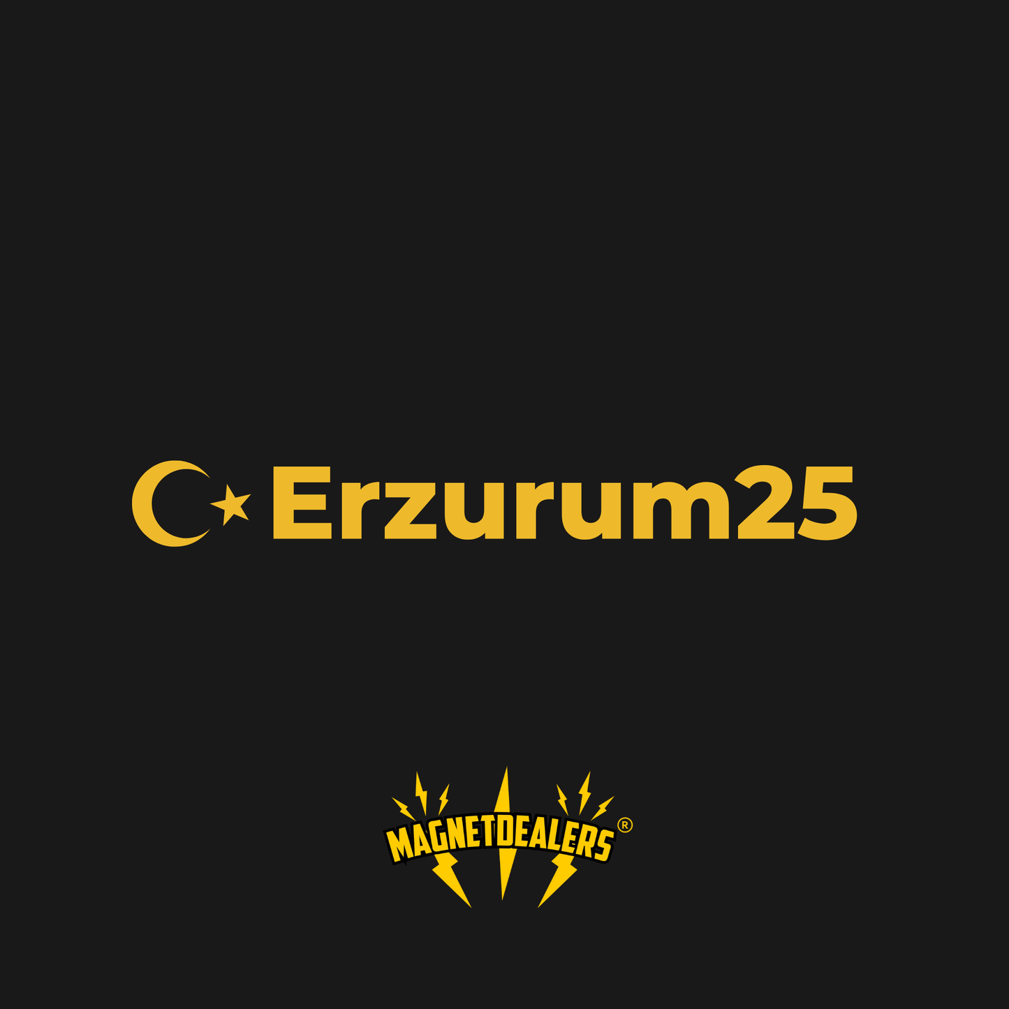 ERZURUM25 / Car Stickers - Magnetdealers