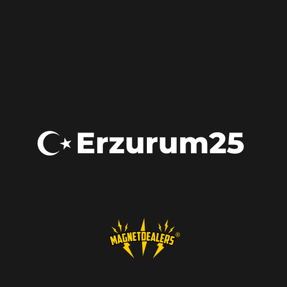 ERZURUM25 / Car Stickers - Magnetdealers