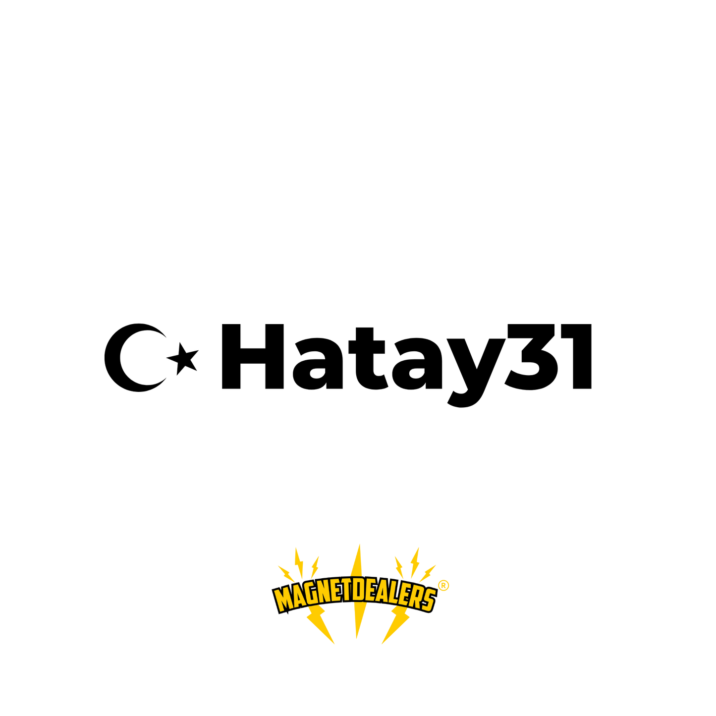 HATAY31 / Autosticker - Magnetdealers