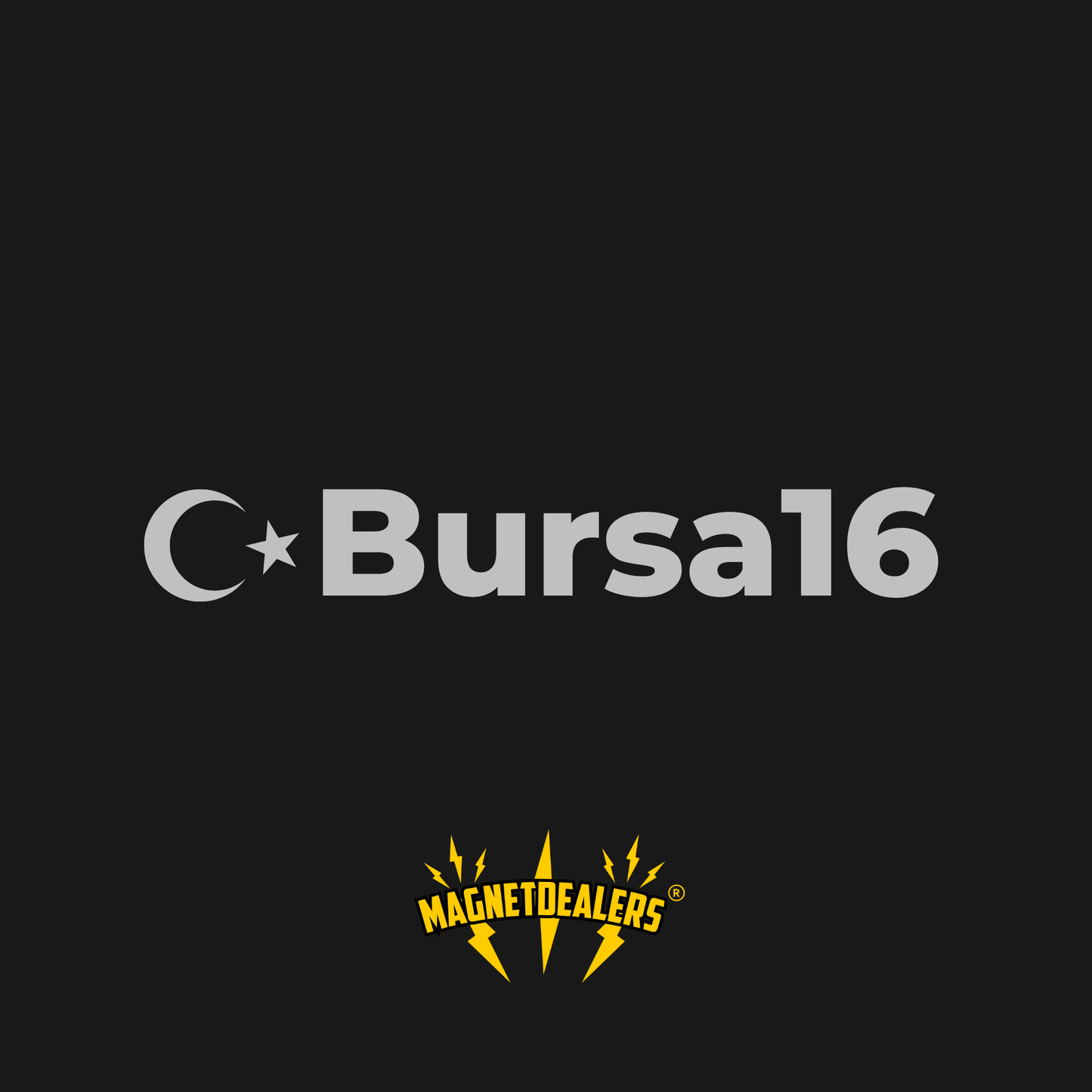 BURSA16 / Car stickers - Magnetdealers