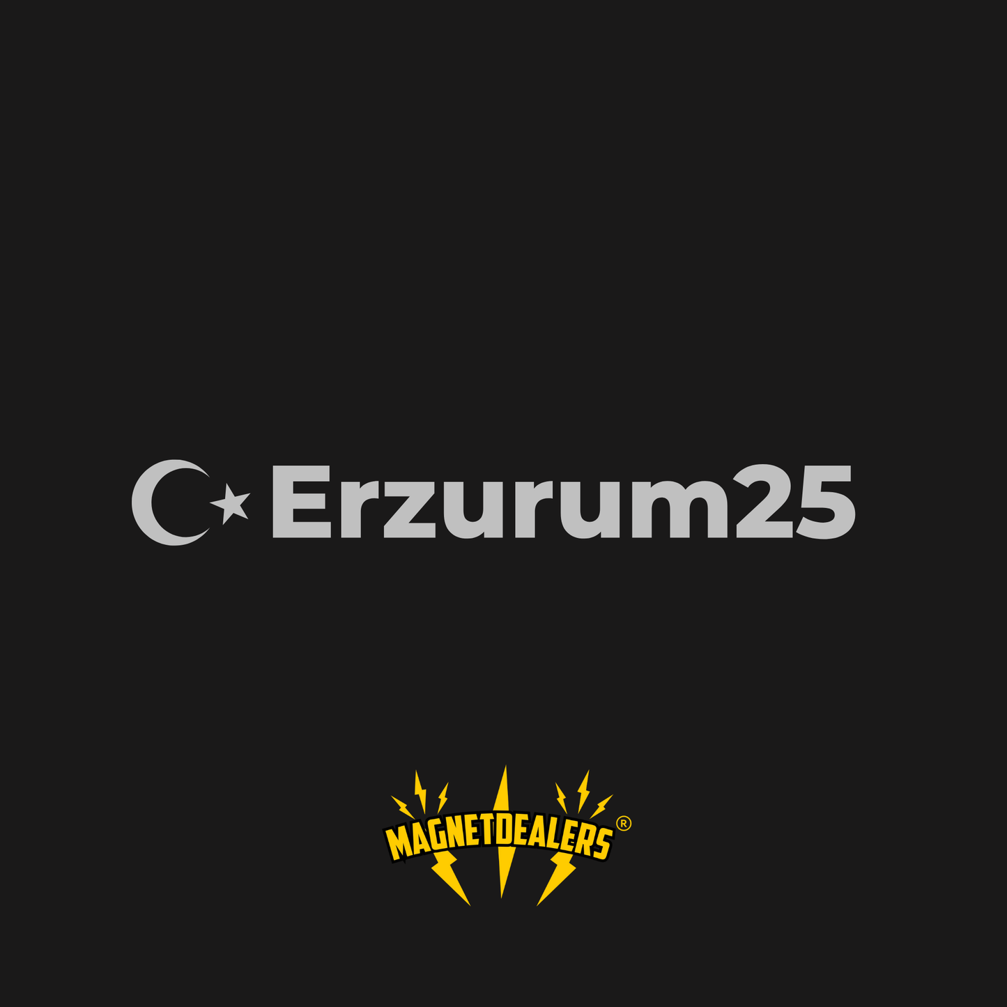 ERZURUM25 / Car Stickers - Magnetdealers