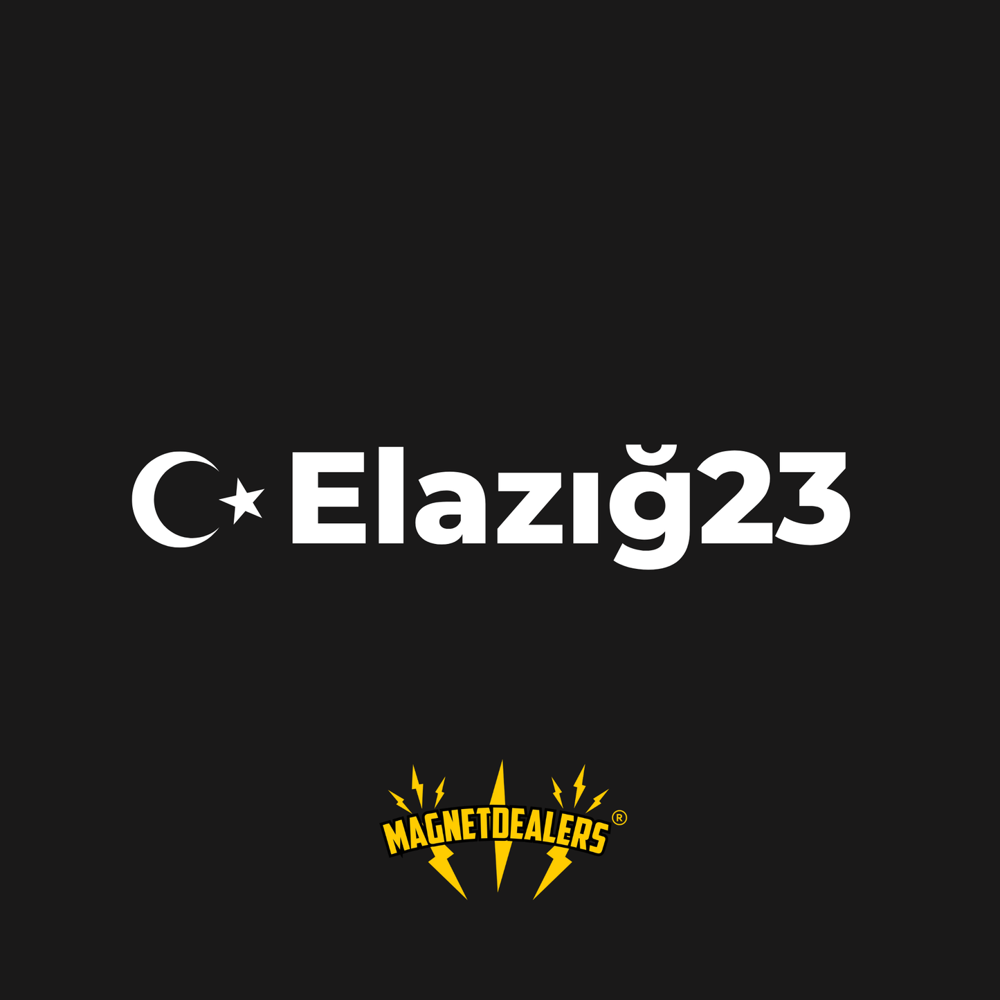 ELAGIZ23 / Car stickers - Magnetdealers