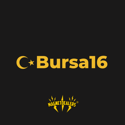 BURSA16 / Car stickers - Magnetdealers