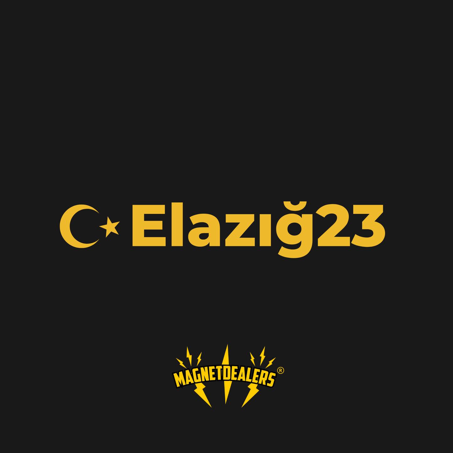 ELAGIZ23 / Autosticker - Magnetdealers