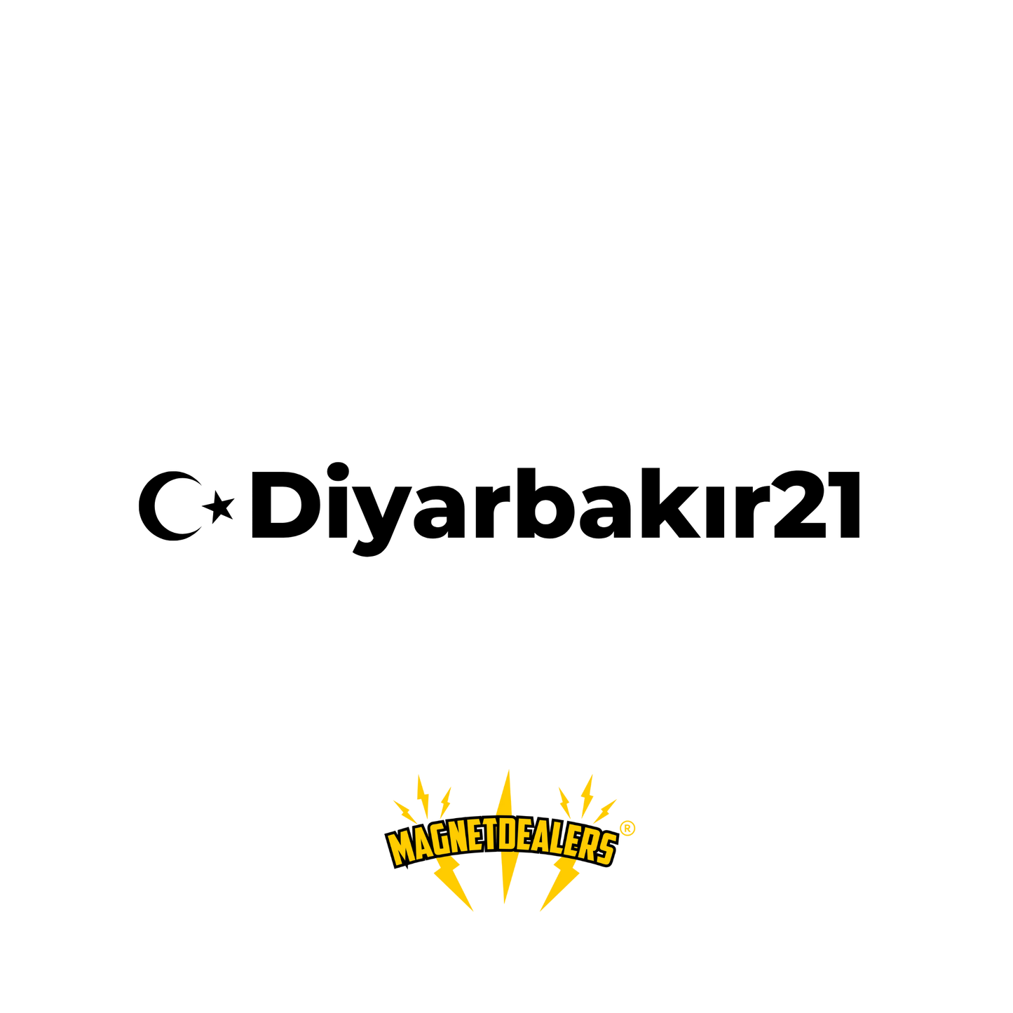 DIYARBAKIR21 / Car stickers - Magnetdealers