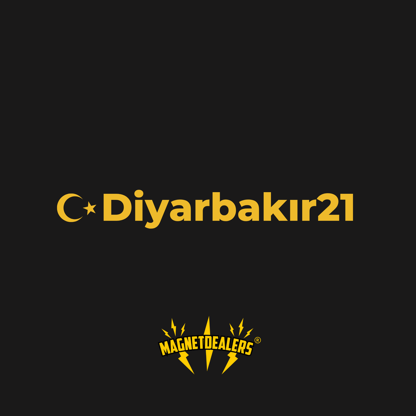 DIYARBAKIR21 / Car stickers - Magnetdealers