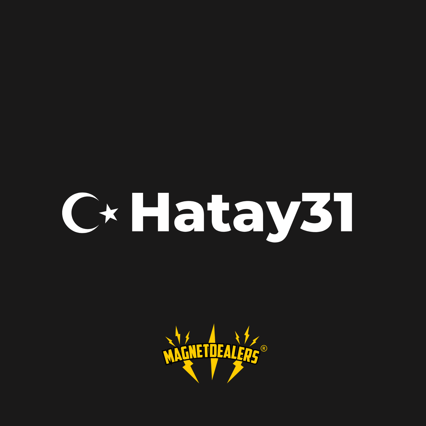 HATAY31 / Car stickers - Magnetdealers