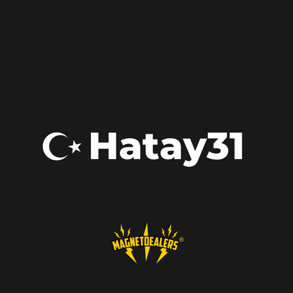 HATAY31 / Autosticker - Magnetdealers