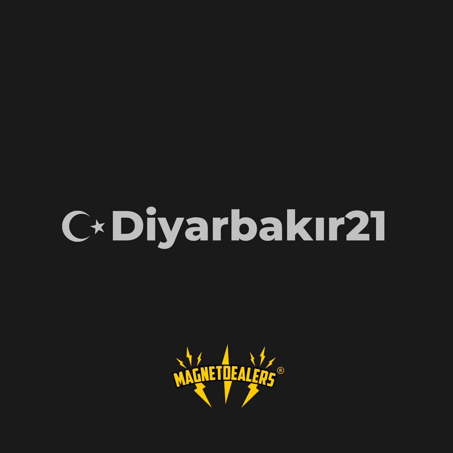 DIYARBAKIR21 / Car stickers - Magnetdealers